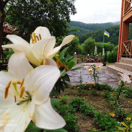 Bilovoddya Hotel Sil 外观 照片