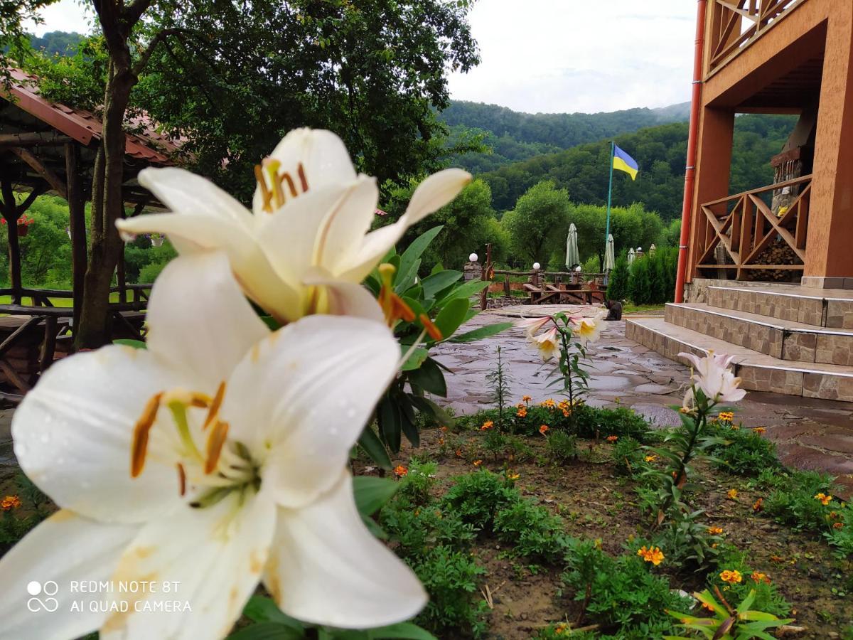 Bilovoddya Hotel Sil 外观 照片